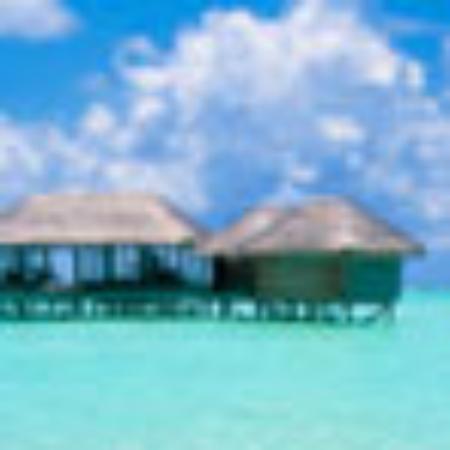 Hamheung Cold Buckwheat Noodles